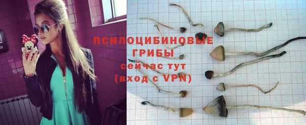 PSILOCYBIN Абинск