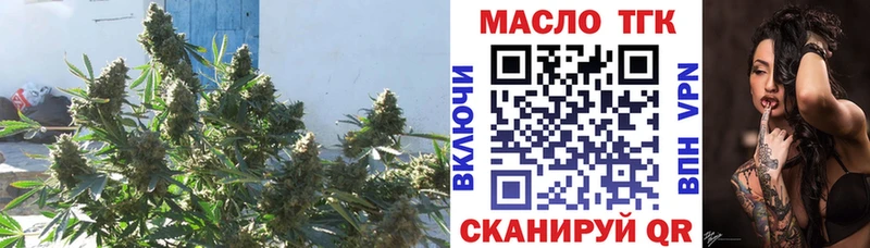 ТГК концентрат Кимовск